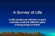 A Survey of Life