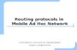 Routing protocols in  Mobile Ad Hoc Network
