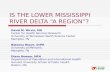 IS THE LOWER MISSISSIPPI RIVER DELTA “A REGION”?