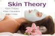 Skin Theory