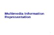 Multimedia Information Representation