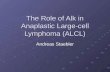 The Role of Alk in Anaplastic Large-cell Lymphoma (ALCL)