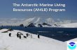 The Antarctic Marine Living Resources (AMLR) Program