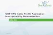 OGF HPC-Basic Profile Application Interoperability Demonstration