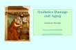 Oxidative Damage and Aging Giacinto Libertini r-site/ageing giacinto.libertini@tin.it