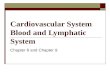Cardiovascular System Blood and Lymphatic System