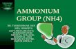 AMMONIUM GROUP (NH4)