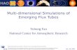Multi-dimensional Simulations of Emerging Flux Tubes