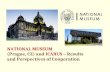 NATIONAL MUSEUM (Prague, CZ) and  ICARUS  – Results and Perspectives of Cooperation