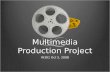 Multimedia Production Project
