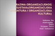 Razina organizacijskog sustava(organizacijska struktura i organizacijska kultura)
