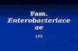 Fam.  Enterobacteriaceae