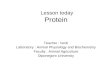 Lesson today Protein