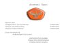 Anatomi Daun Disusun oleh •Magda Rotua Tiurma SiburianD1D011056