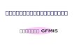 โครงการ  GFMIS