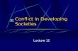 Conflict in Developing Societies