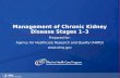 Management of Chronic Kidney Disease Stages 1 – 3
