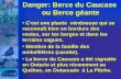 Danger: Berce du Caucase  ou Berce géante