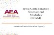 Iowa Collaborative Assessment Modules (ICAM)