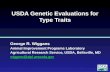USDA Genetic Evaluations for Type Traits