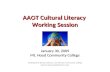 AAOT Cultural Literacy  Working Session