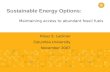 Sustainable Energy Options: