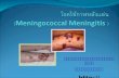 โรคไข้กาฬหลังแอ่น  ( Meningococcal Meningitis  )