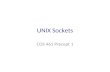 UNIX Sockets