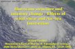 Hurricane structure and intensity change : Effects of wind shear and Air-Sea Interaction