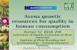 Avena genetic resources for quality in human consumption (AVEQ)
