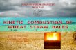 KINETIC   COMBUSTION  OF WHEAT  STRAW   BALES