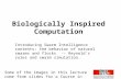 Biologically Inspired Computation