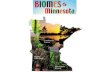 Scientific and Natural Areas found in Minnesota major biomes