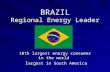 BRAZIL Regional Energy Leader