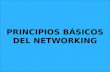 PRINCIPIOS BÁSICOS DEL NETWORKING
