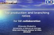 Top production and branching ratios