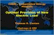 CAEM – Competitive Energy Markets Optimal Provision of New Electric Load Thomas R. Casten