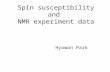Spin susceptibility and  NMR experiment data