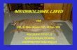 METABOLISME LIPID Oleh DR. E. Bimo Aksono H.P., M.Kes., Drh