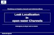 Leak Localization  in  open water Channels