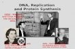 DNA, Replication  and Protein Synthesis