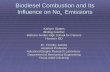 Biodiesel Combustion and Its Influence on No x   Emissions