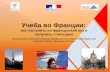 Учеба во Франции:  как поступить во французский вуз и  получить стипендию