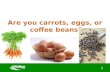 Are you carrots, eggs, or coffee beans?