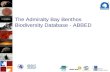 The Admiralty Bay Benthos Biodiversity Database - ABBED