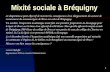 Mixité sociale à Bréquigny