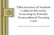 Effectiveness of Student Cultural Diversity Learning to Provide Transcultural Nursing Care