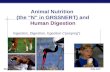 Animal Nutrition  (the “N” in GRSSNERT) and Human Digestion