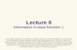 Lecture 6 Information in wave function. I.
