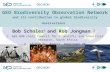 GEO Biodiversity Observation  Network and its contribution to global biodiversity observations